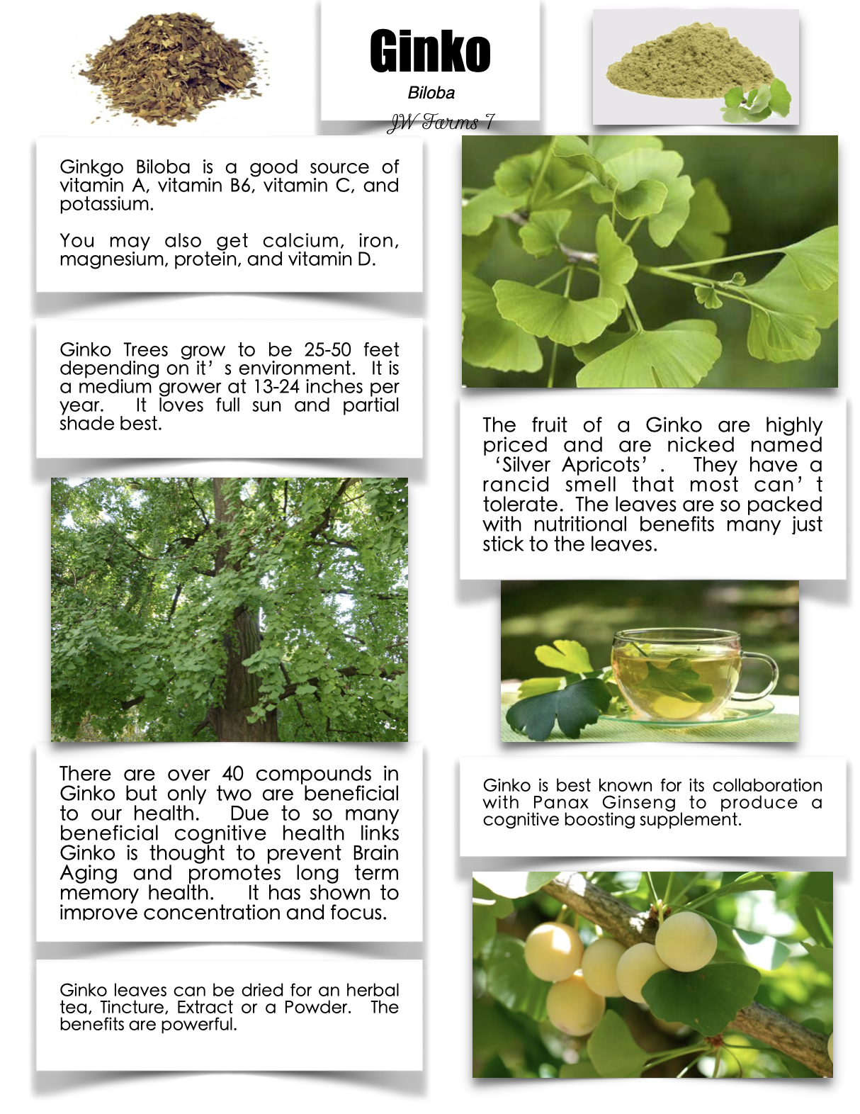 Ginko preview Ginko herbal reference preview