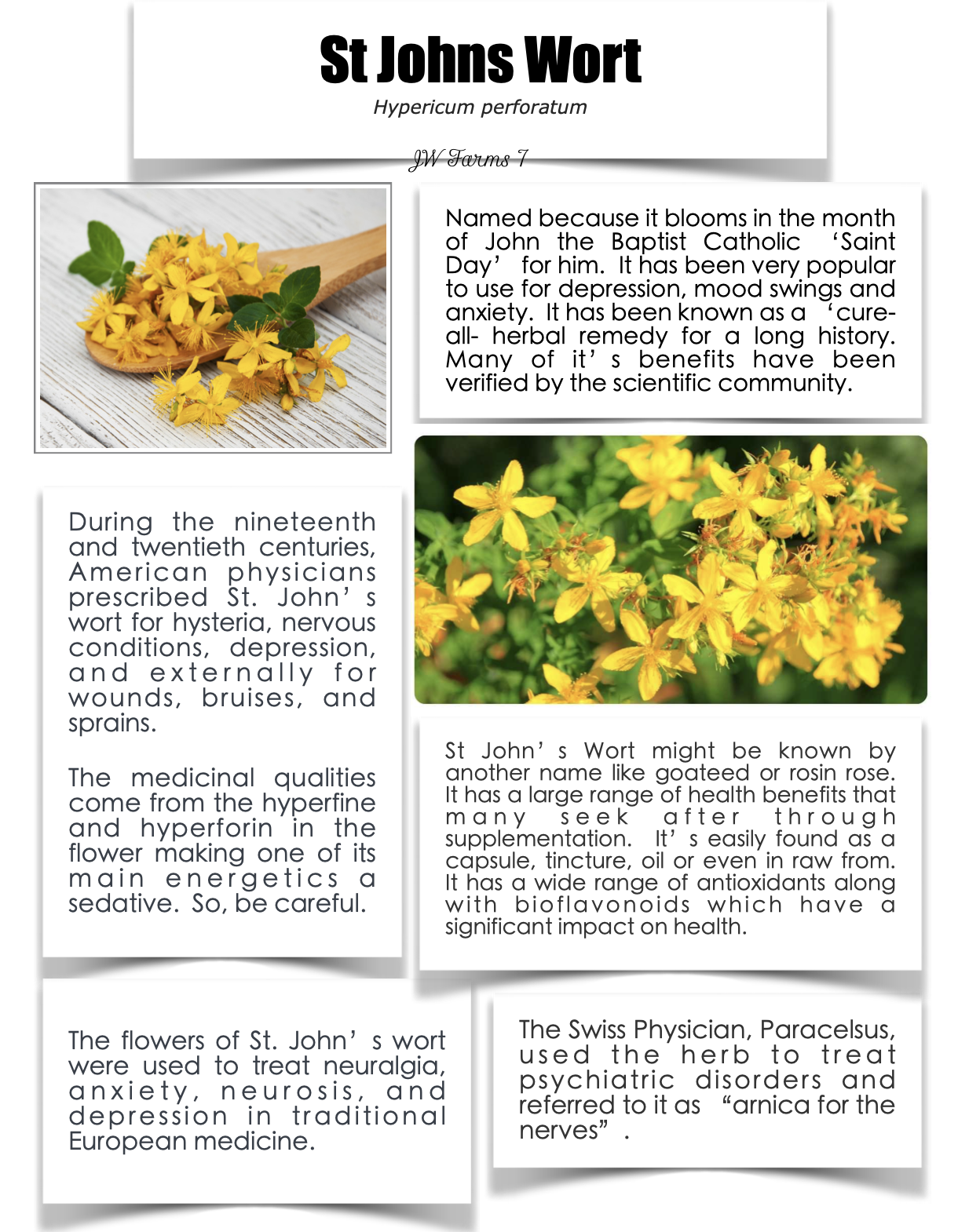 St John's Wort preview St John's Wort herbal reference preview